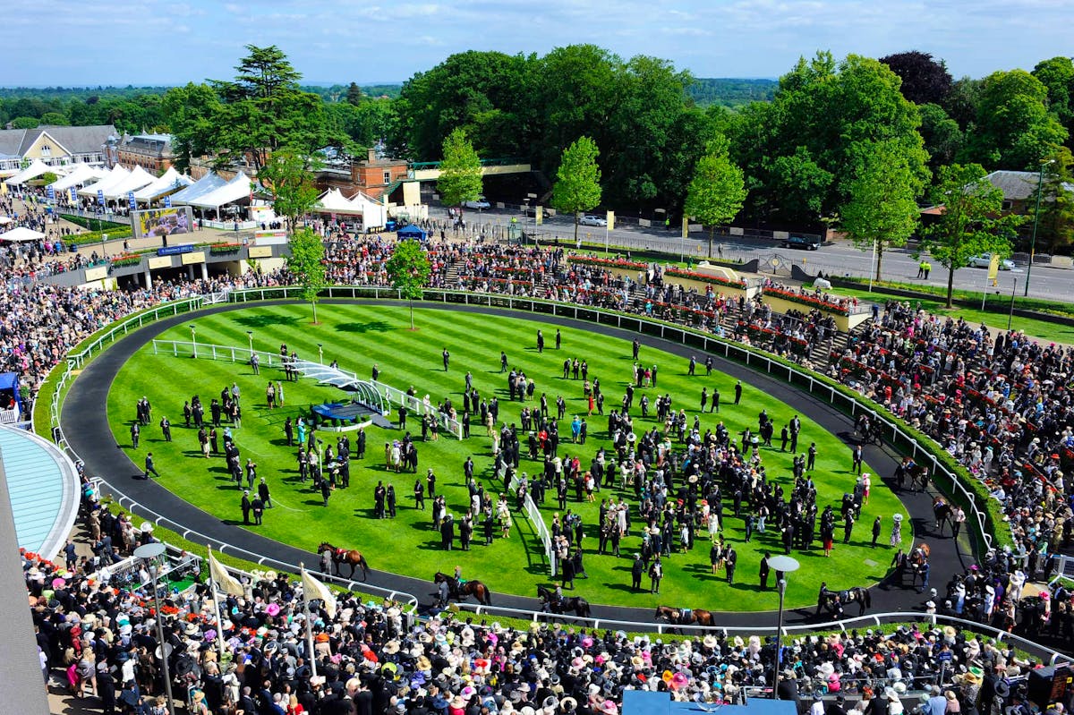 Comprehensive guide to Royal Ascot betting
